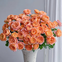 Juicy Terrazza Rose