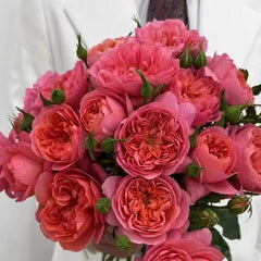 Juicy terrazza Rose
