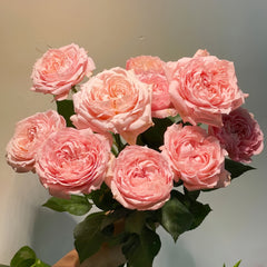 Julieta Rose