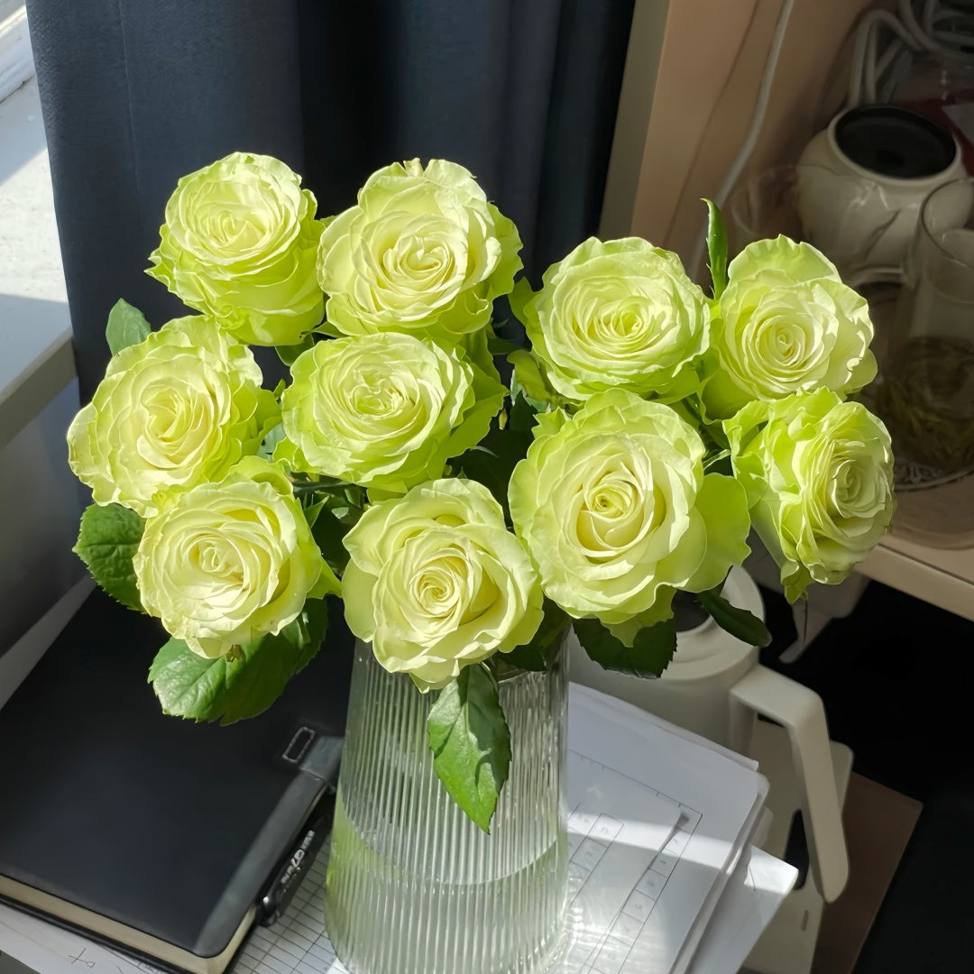 Jutta Rose