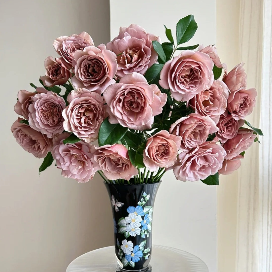 Koko Loco Rose