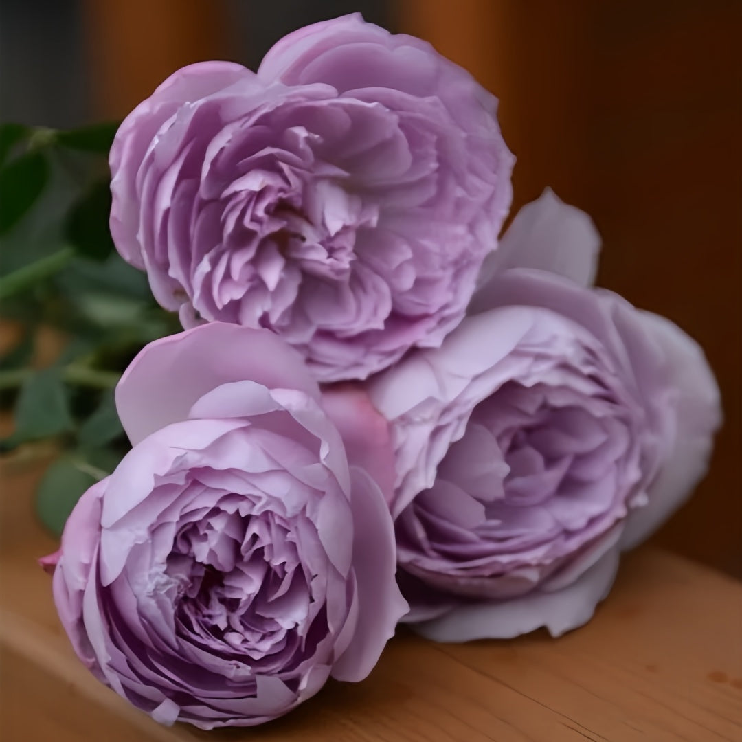 Lapis Lazuli Rose