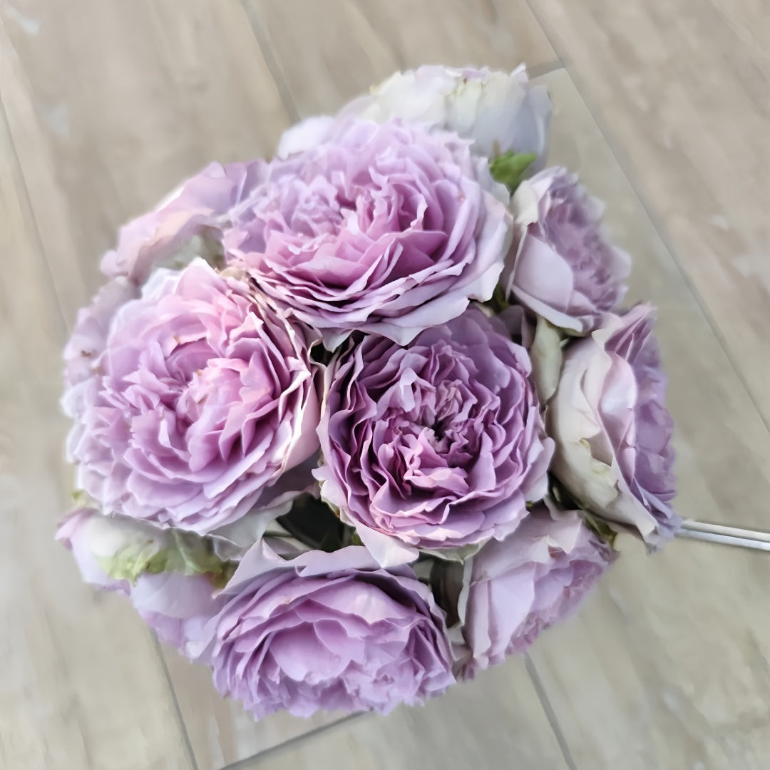 Lapis Veil Rose