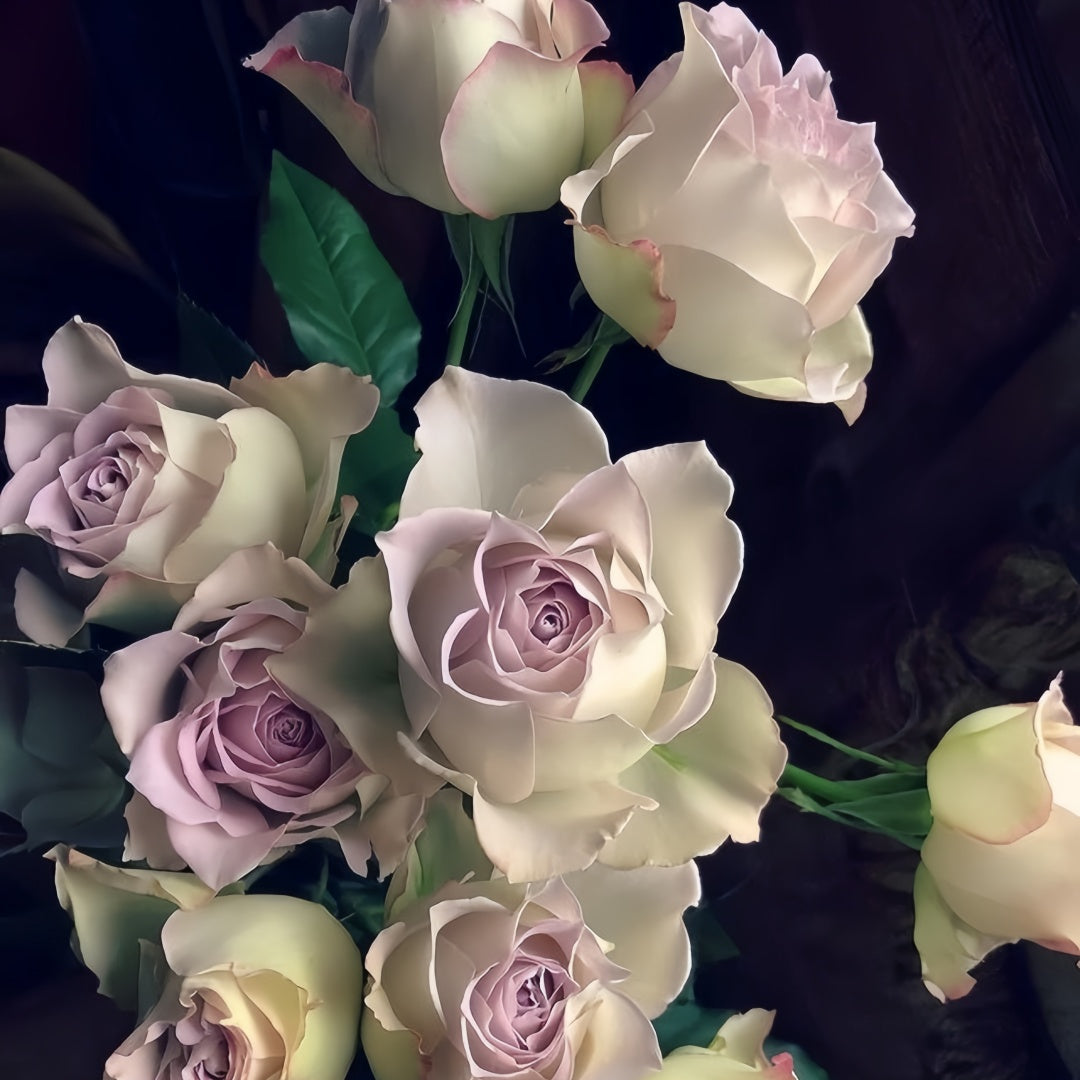 Lapis Veil Rose