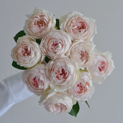 Light Makeup Rose