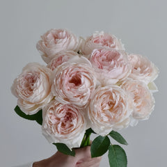 Light Makeup Rose