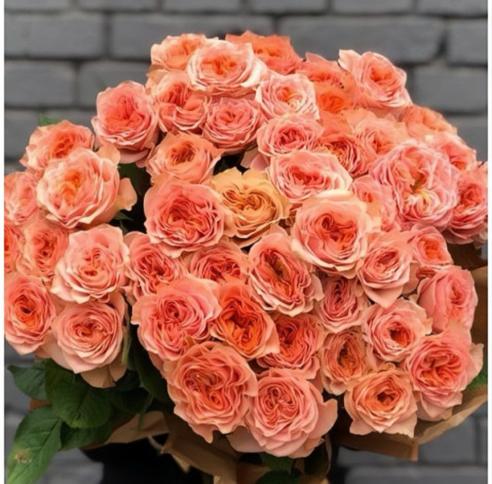 Living Coral Rose