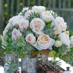 Madame Anisette Rose