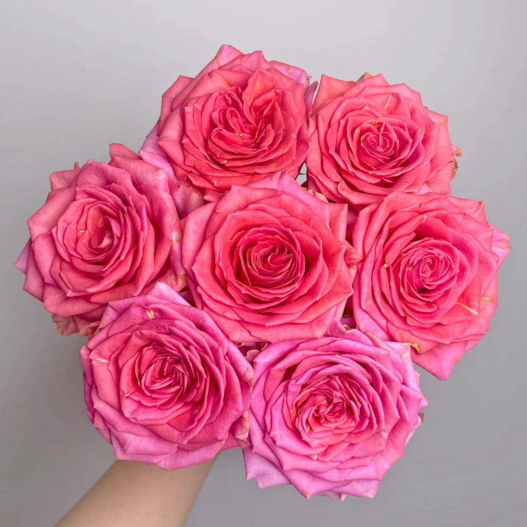 Madam rose