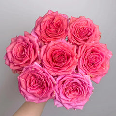Madam rose