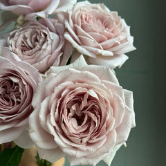 Memoire rose