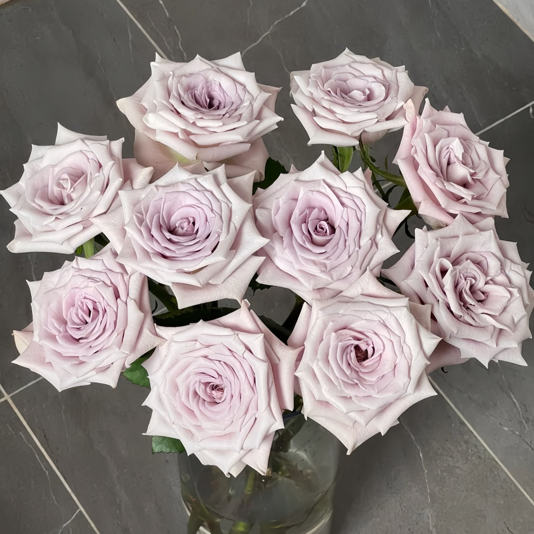 Menta Rose