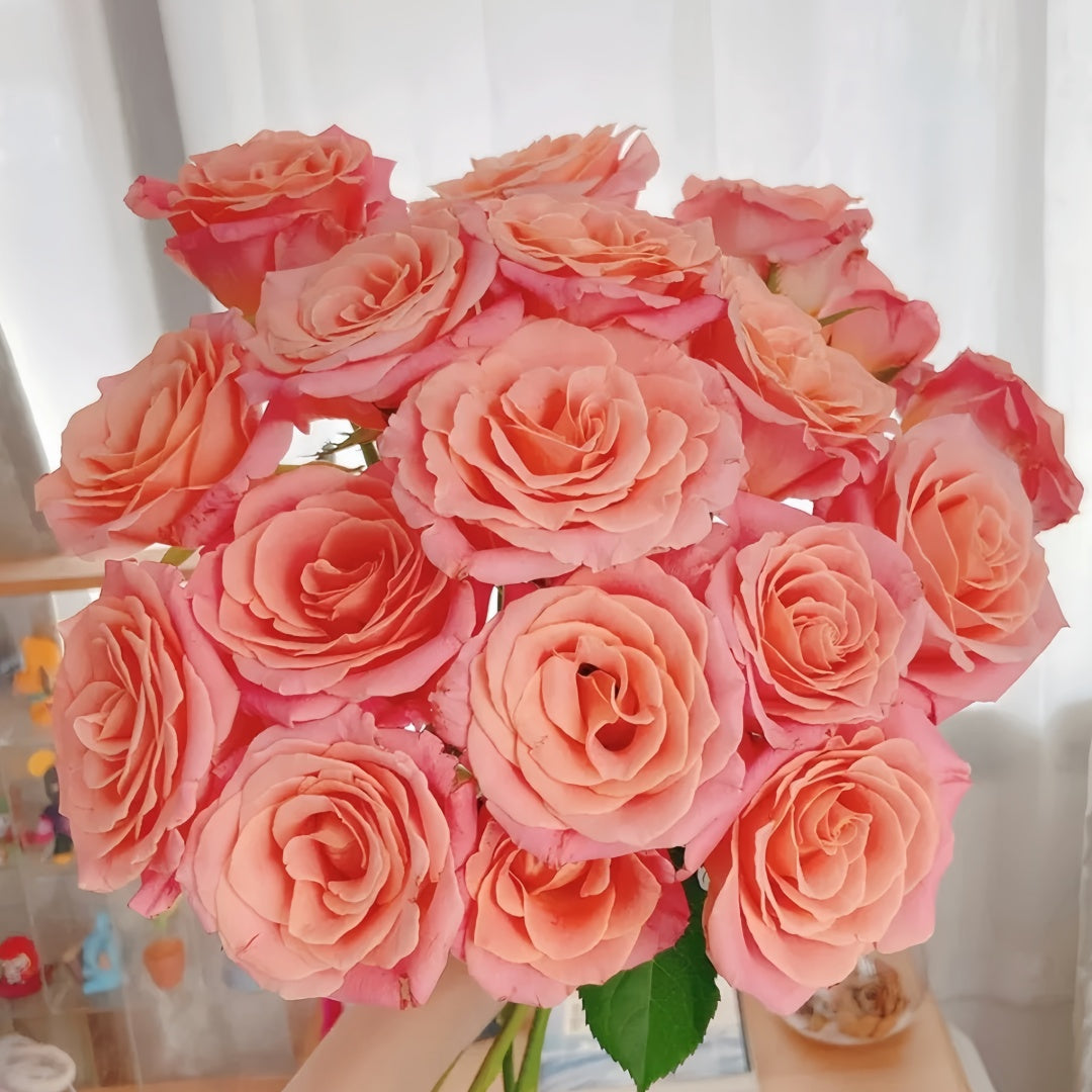 Miss piggy Rose