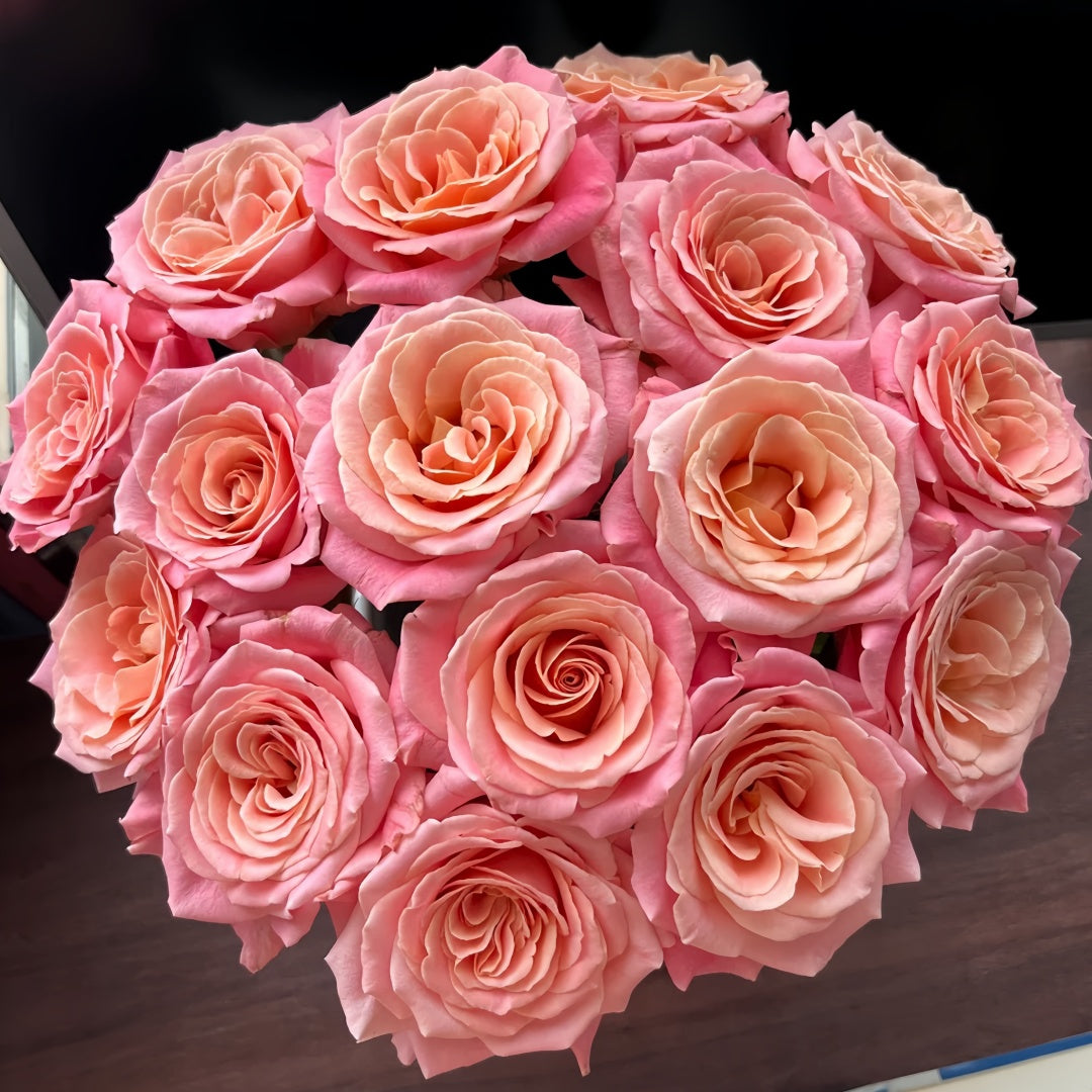 Miss piggy Rose