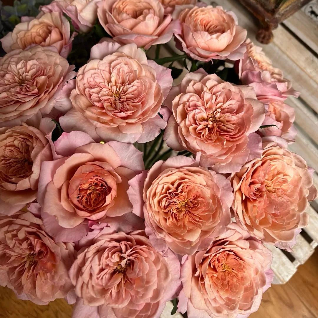 Miyabi Cha Rose