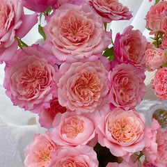 Miyabi Rose-雅致｜Japanese Cut Rose – Ergongzy Roses