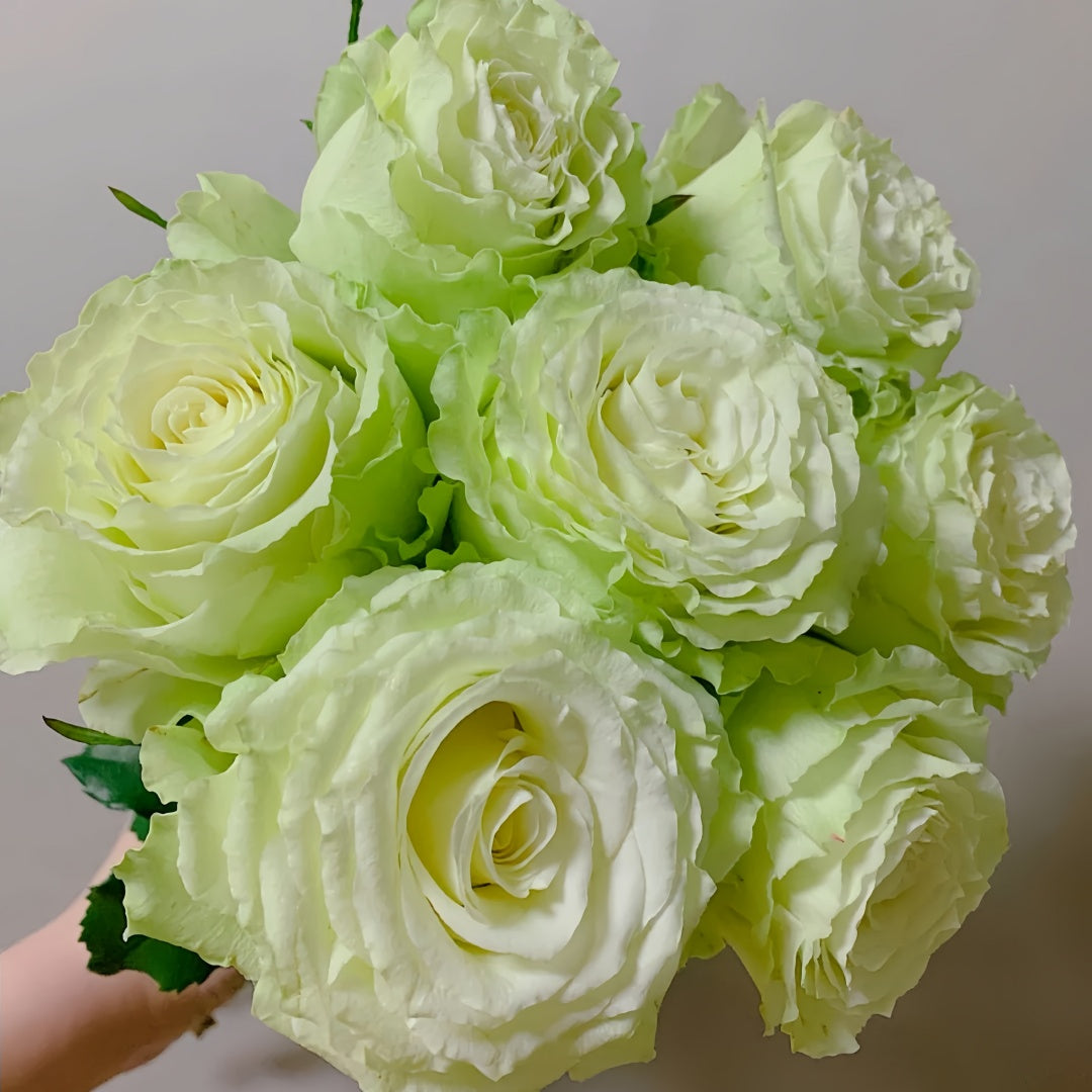 Moonstone Rose