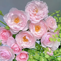 ROSE DE MARRAKECH ネロリバーム　35g×2　10g×1 Rose Gold Radiance Booster Serum – Cos Bar