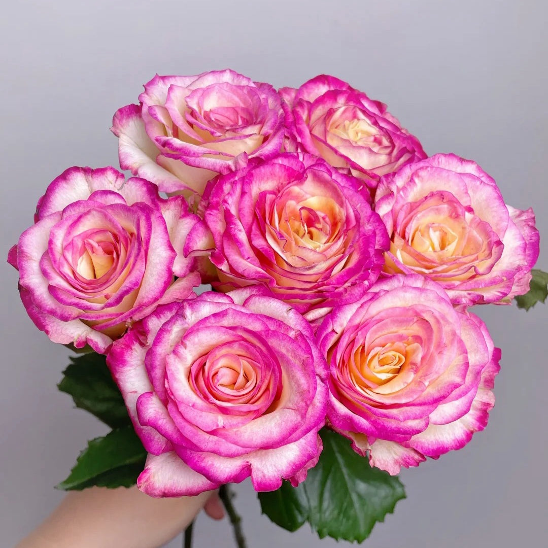 Nine-Tailed Fox Rose
