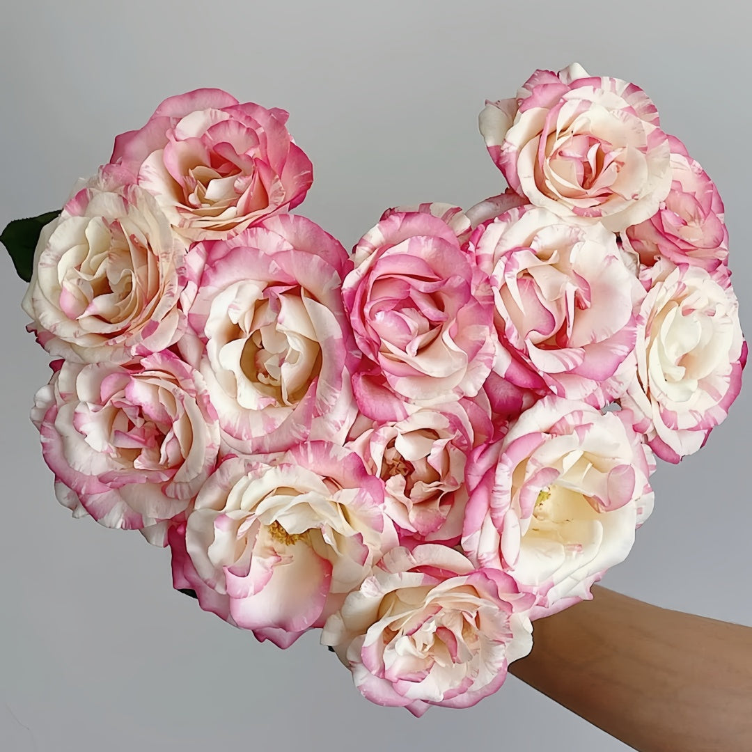 Nishang Rose