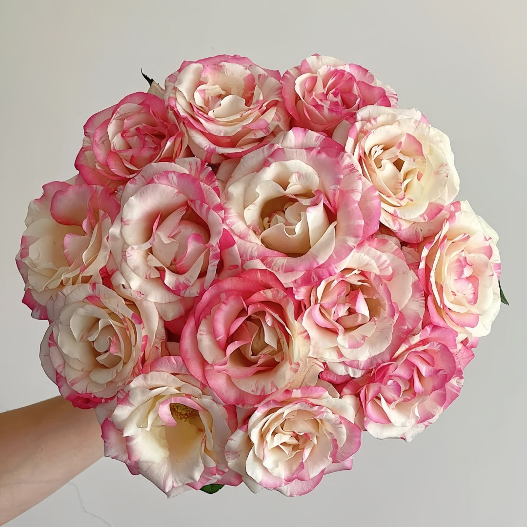 Nishang Rose