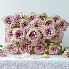 Notre Dame Rose