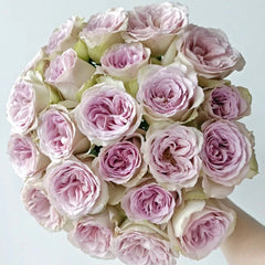 Notre Dame Rose