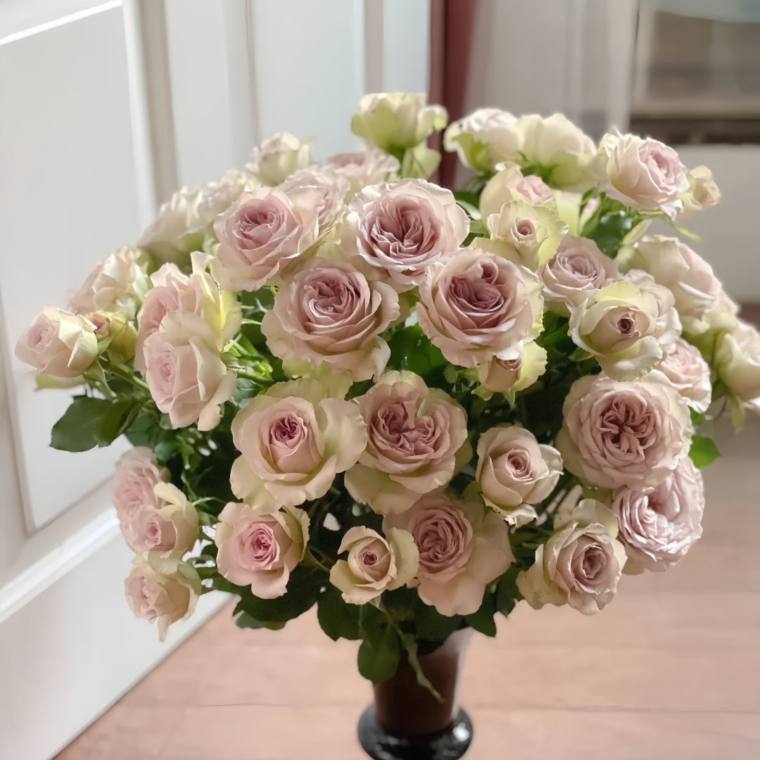 Notre Dame Rose