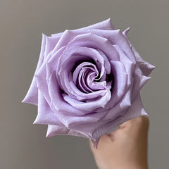 Ocean Song Rose