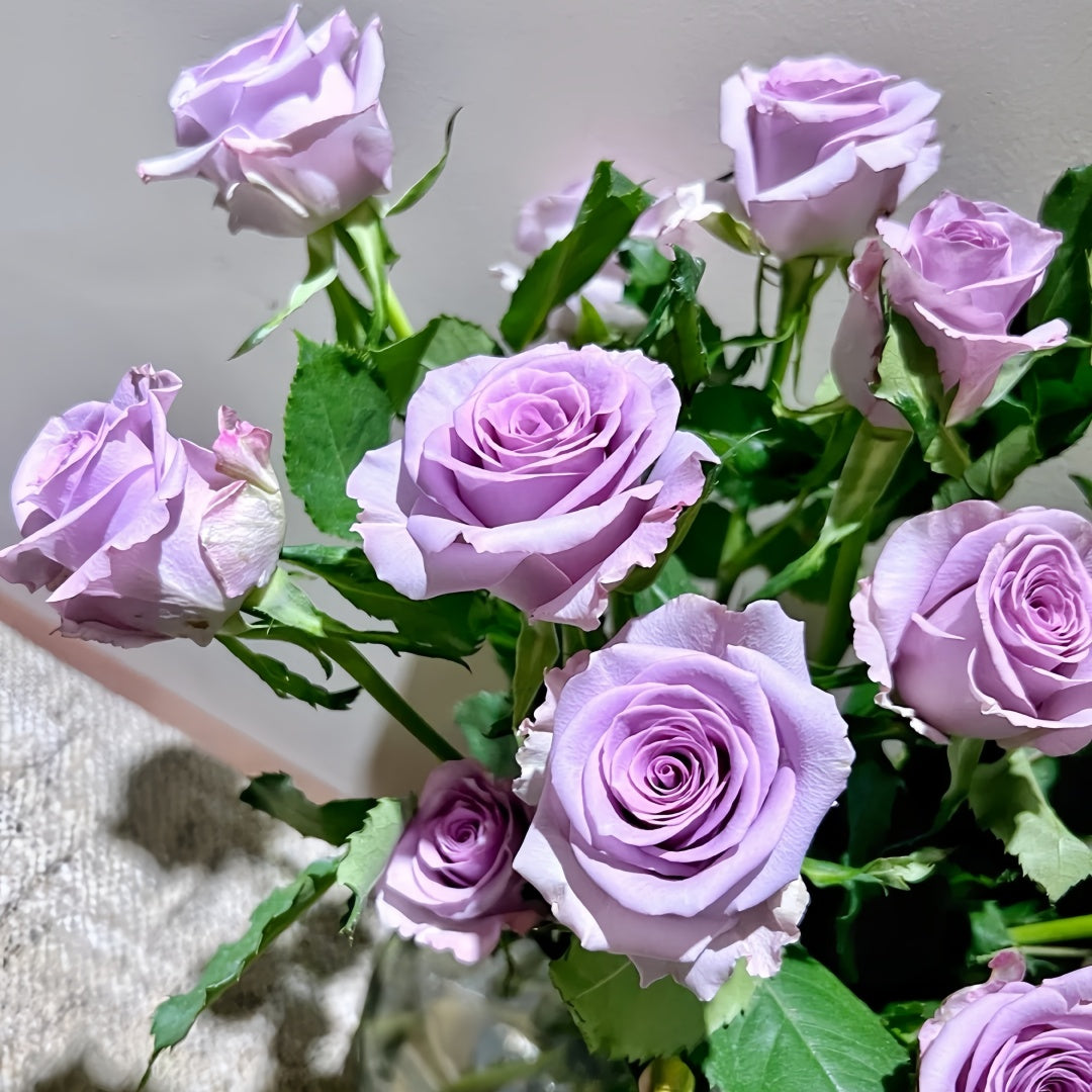 Ocean Song Rose