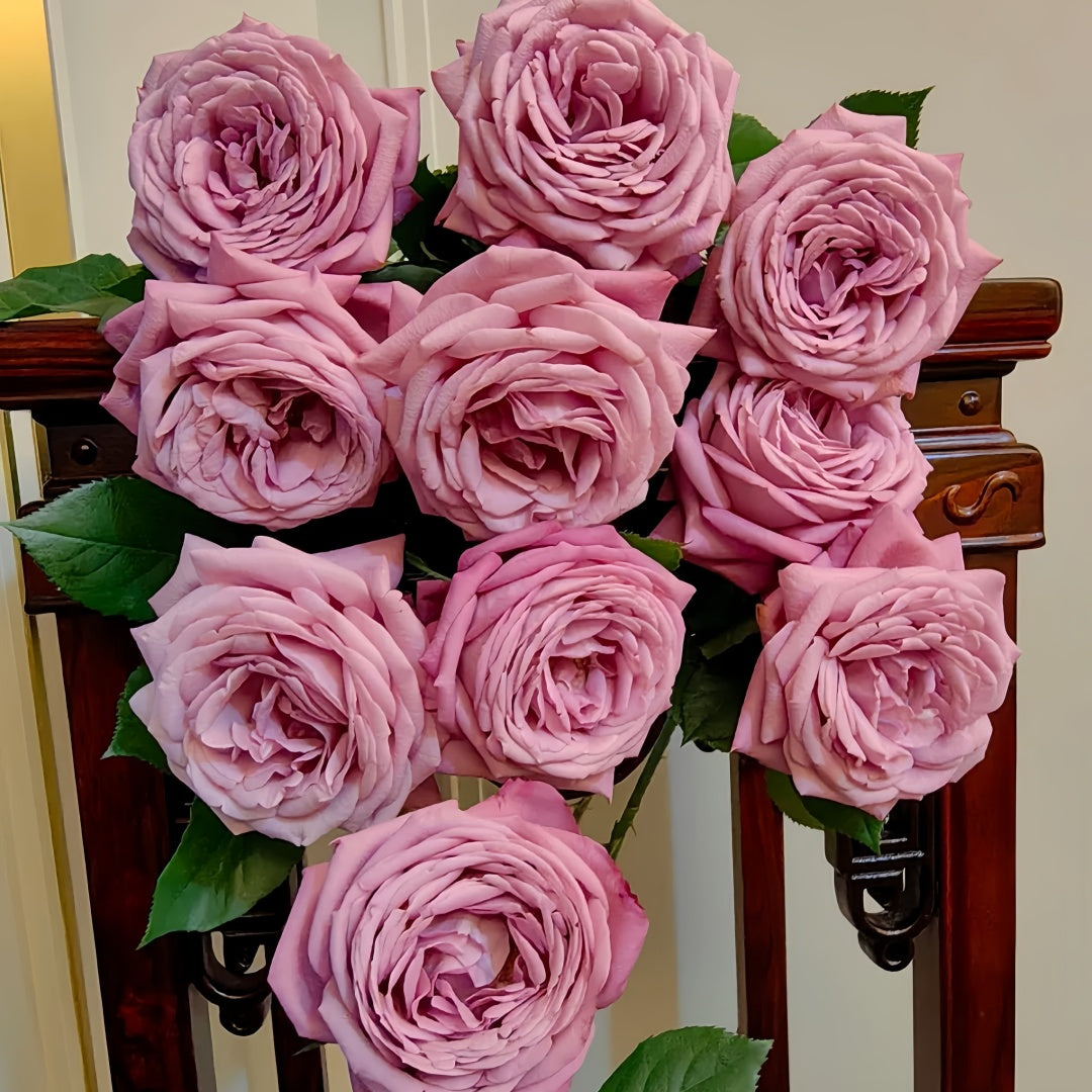 Perfu purple Rose