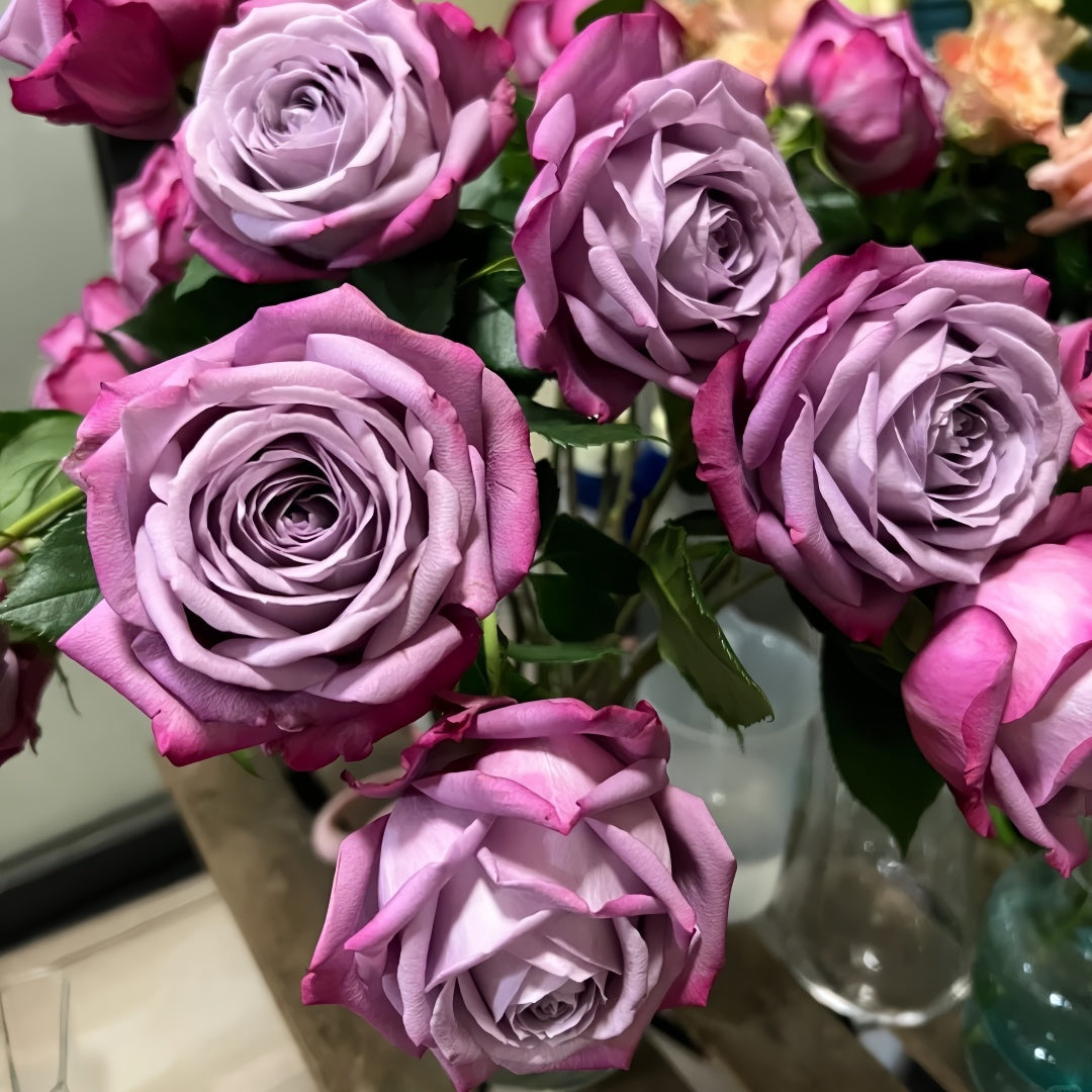 Perfu purple Rose