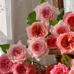 Pink X Expression Rose