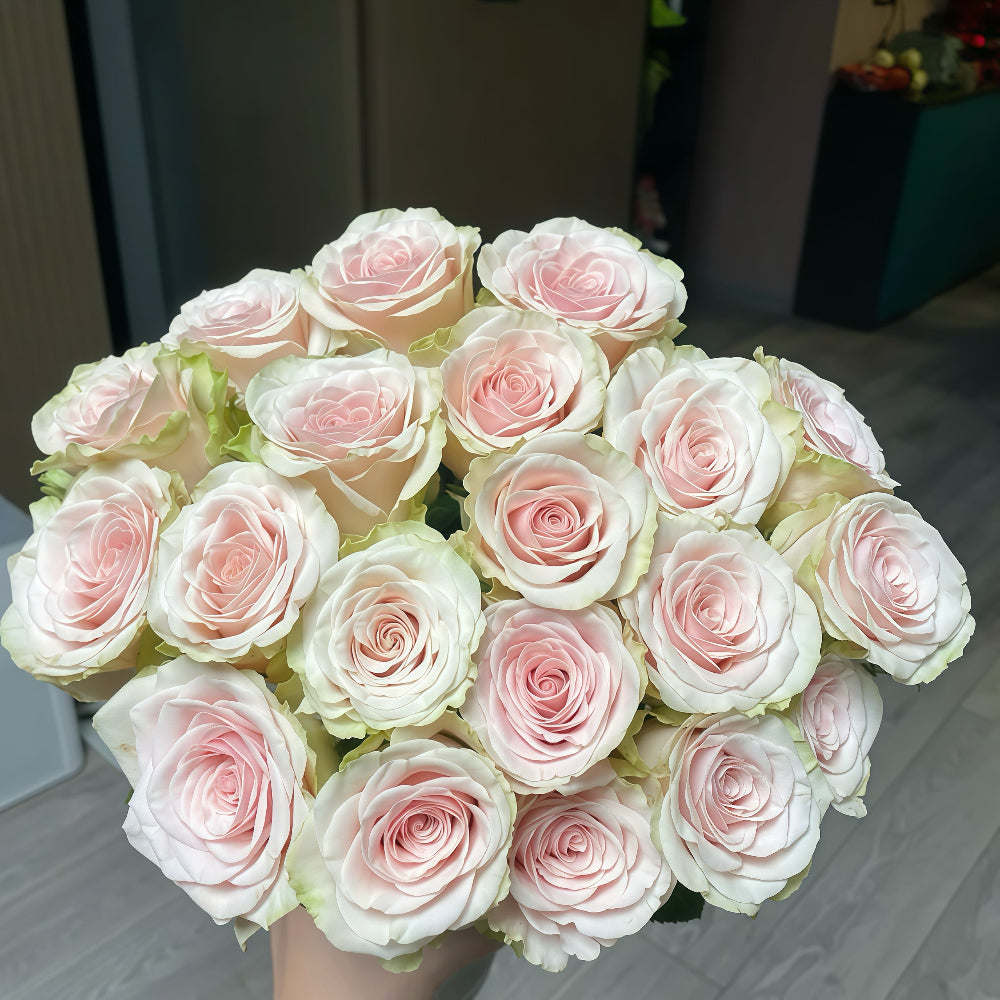Pompeii Rose