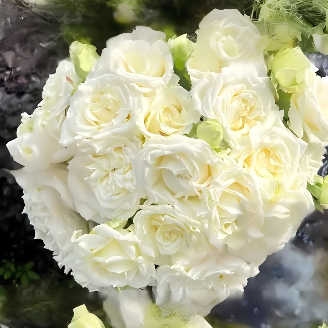 Pope John Paul II Rose