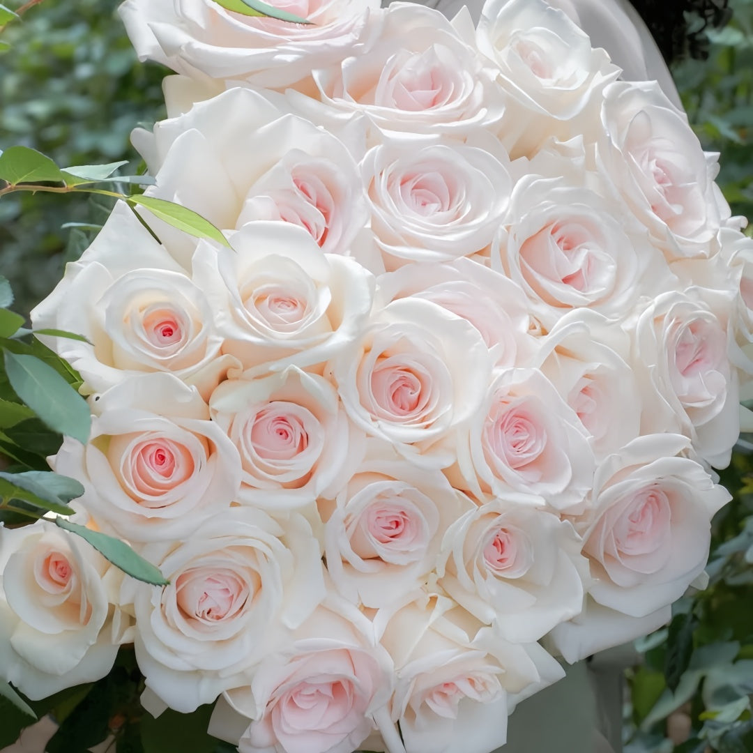 Prince Jardinier Rose