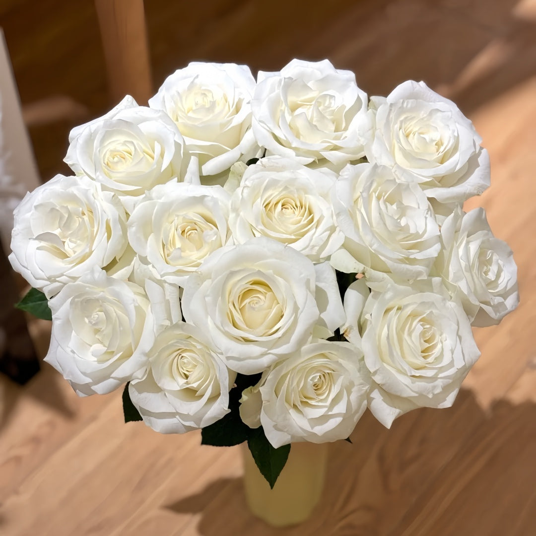Proud Rose