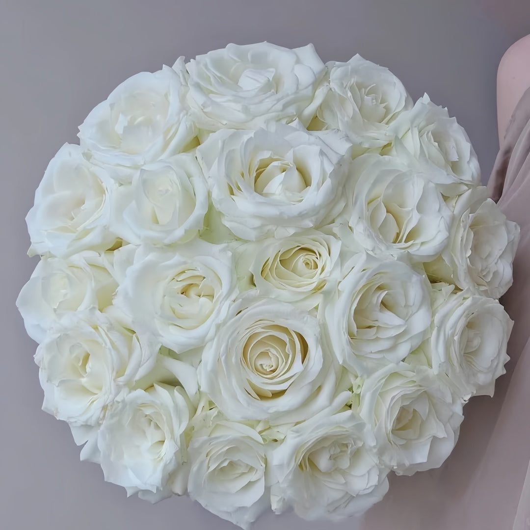 Proud Rose