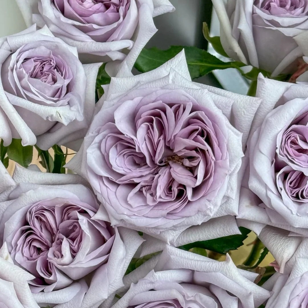 Purple Lychee Rose
