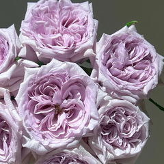 Purple Lychee Rose