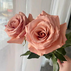 RP Moab Rose-莫泊 | Ecuador Cut Roses – Ergongzy Roses