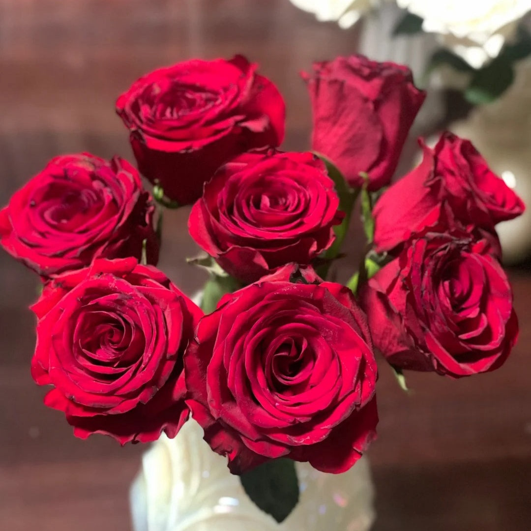 Red Ambiance Rose