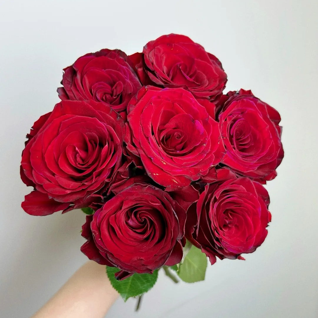 Red Ambiance Rose