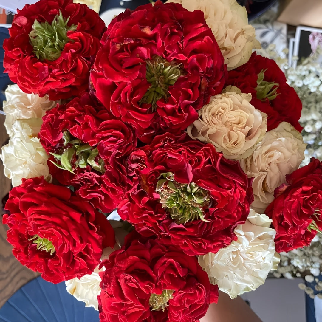 Red Eye Rose