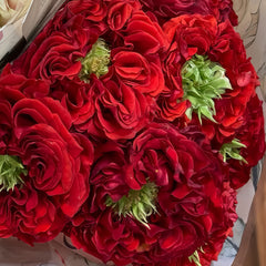 Red Eye Rose