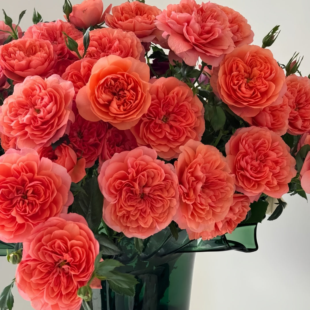 Red juicy terrazza Rose