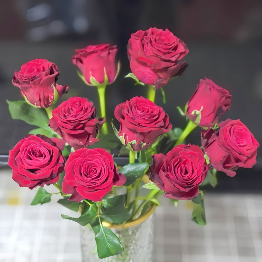 Rohdos Rose