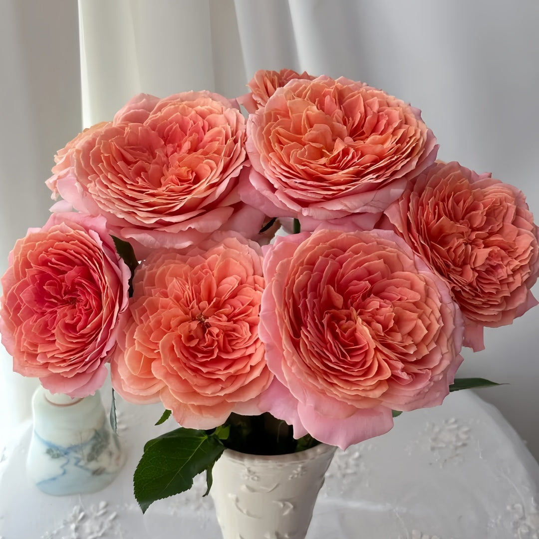 Romantic antike Rose
