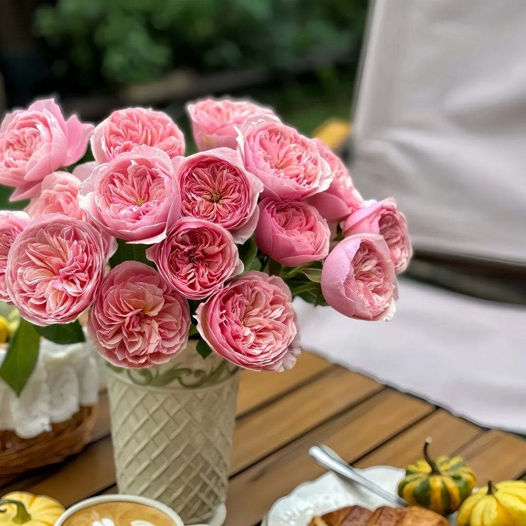 Romeo_Rose