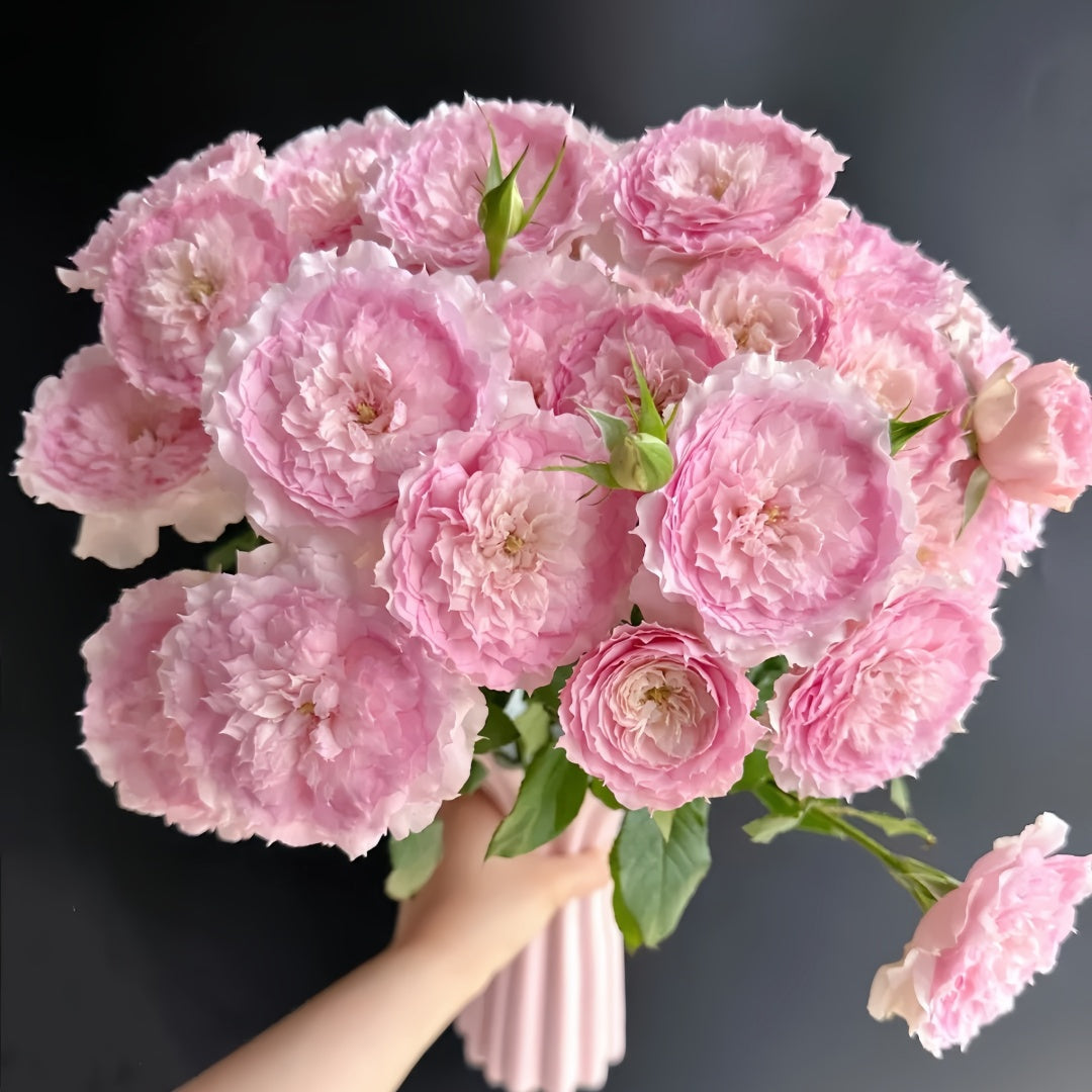 RongRongYue Rose